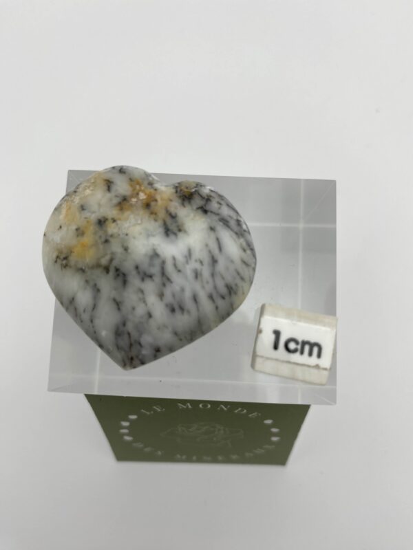 AGATE DENDRITIQUE CŒUR 4