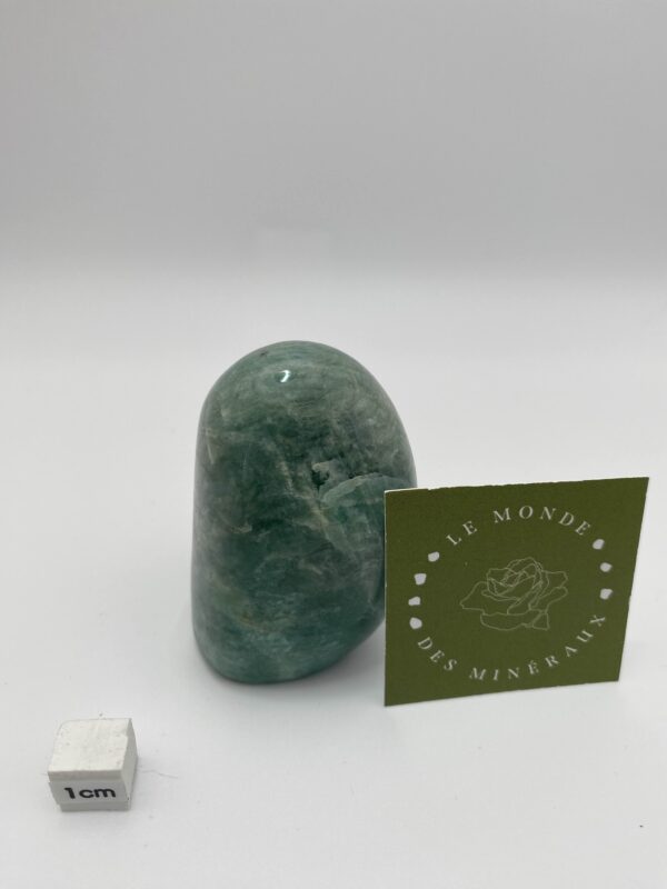 AMAZONITE FORME LIBRE 155