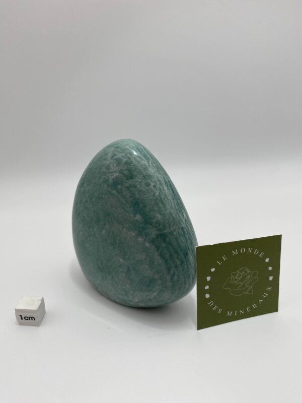 AMAZONITE FORME LIBRE 344