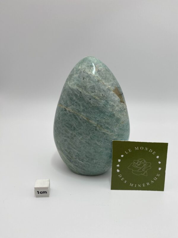 AMAZONITE FORME LIBRE 418