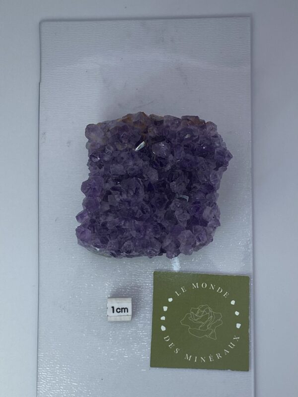 AMETHYSTE DRUZE 227