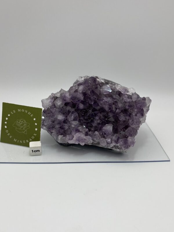 AMETHYSTE DRUZE 423