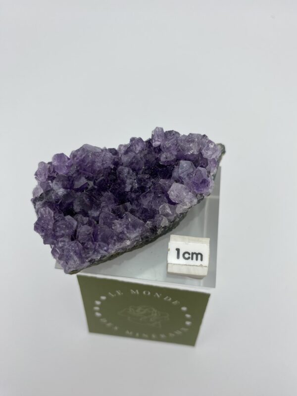 AMETHYSTE DRUZE 56