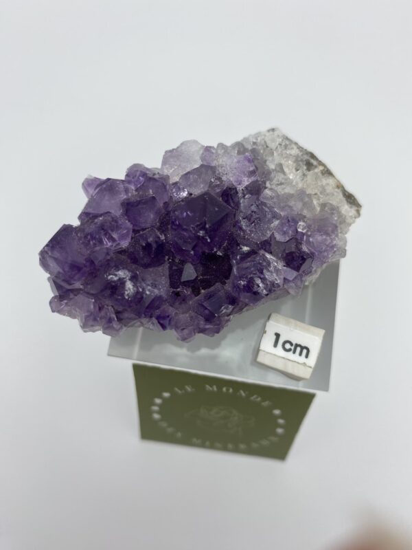 AMETHYSTE DRUZE 80