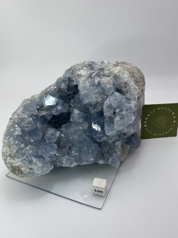 CELESTINE DRUZE 2281