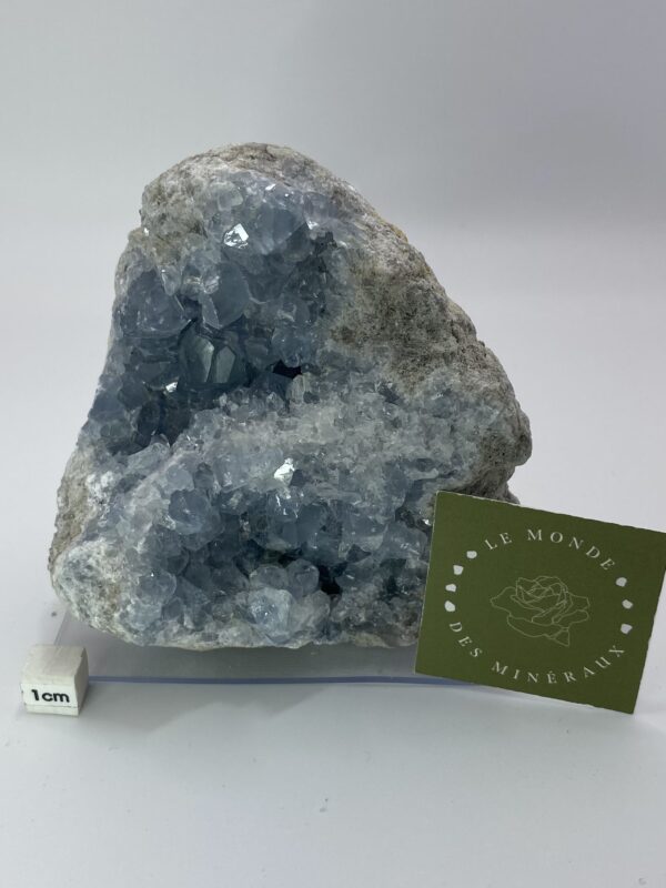 CELESTINE DRUZE 769