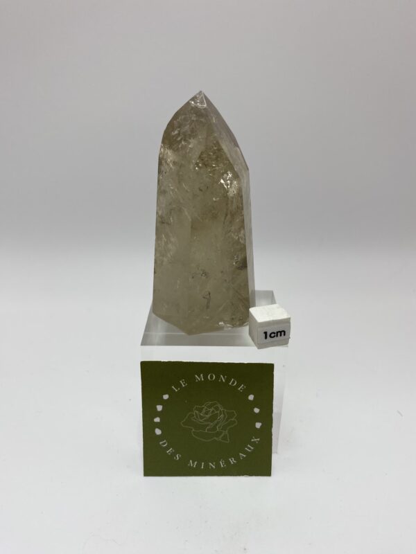 CITRINE OBELISQUE 129