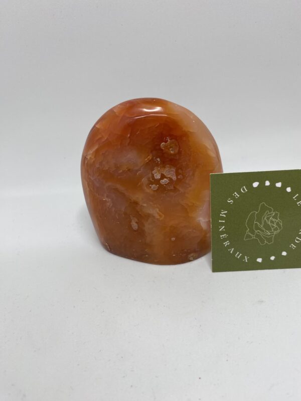 CORNALINE FORME LIBRE GEODE
