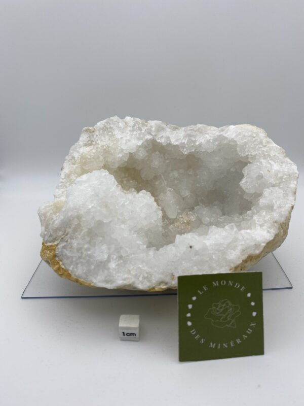 CRISTAL DEMIGEODE 19CM