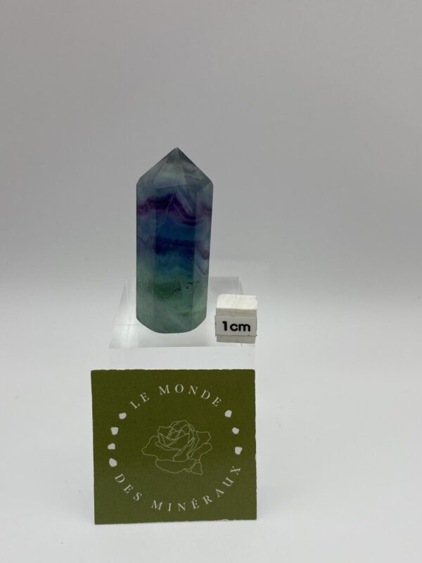fluorine multicolore obelisque mixte 5