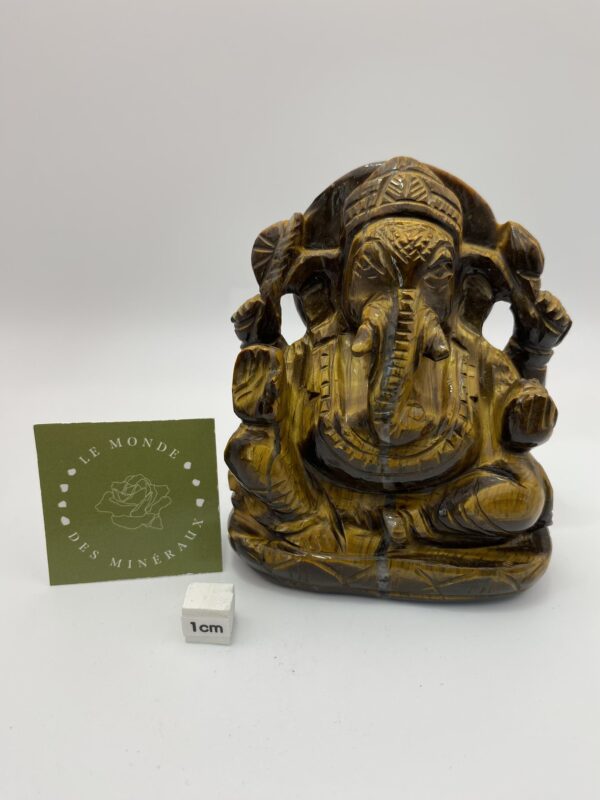 ŒIL DE TIGRE GANESH 491