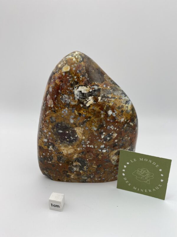 JASPE CHRYSOCOLLE FORME LIBRE 759