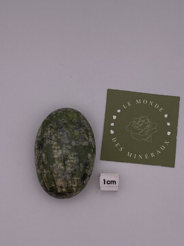 JUNGLE NEPHRITE GALET 60