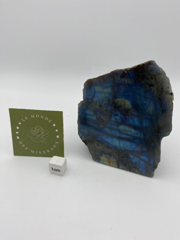 LABRADORITE 1 FACE POLIE 303
