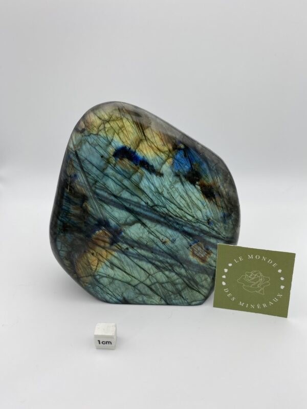 LABRADORITE FORME LIBRE 1227