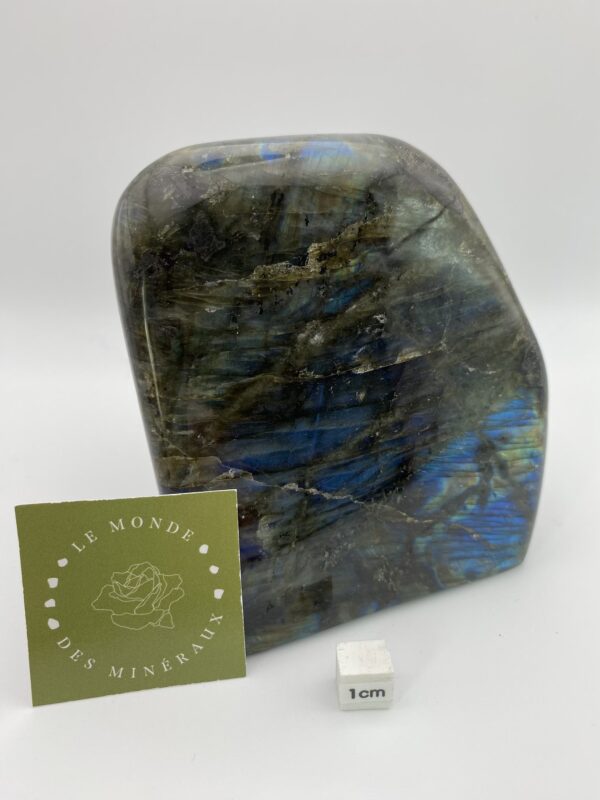 LABRADORITE FORME LIBRE 1241