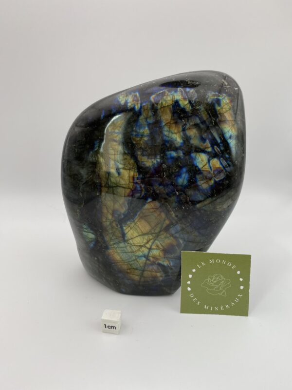 LABRADORITE FORME LIBRE 2071