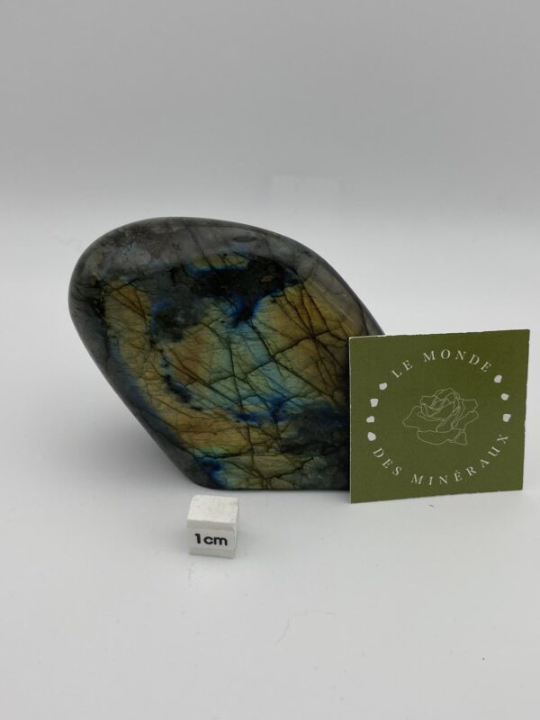 LABRADORITE FORME LIBRE 336
