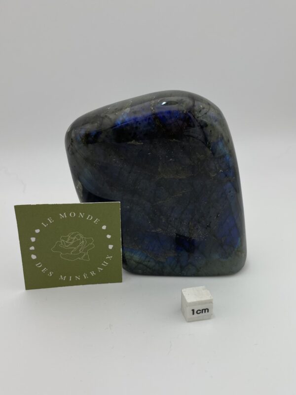 LABRADORITE FORME LIBRE 387