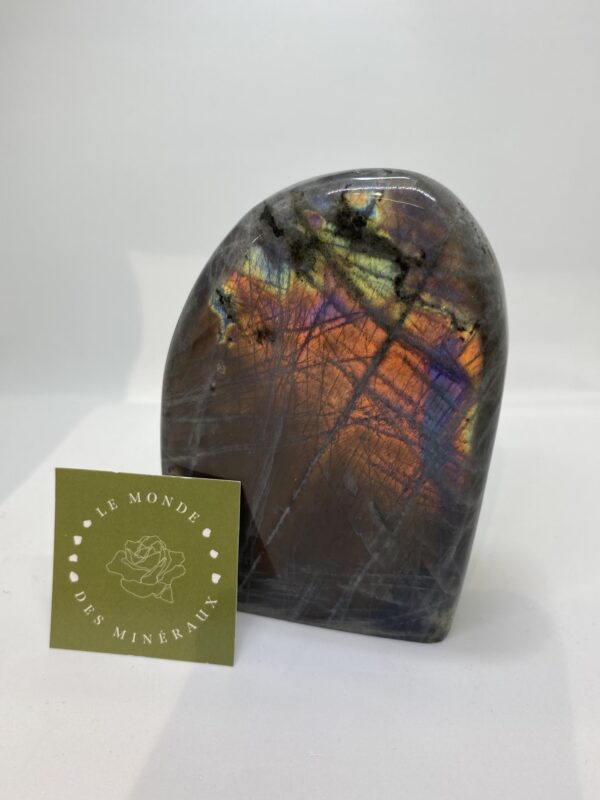 LABRADORITE VIOLETTE FORME LIBRE 619
