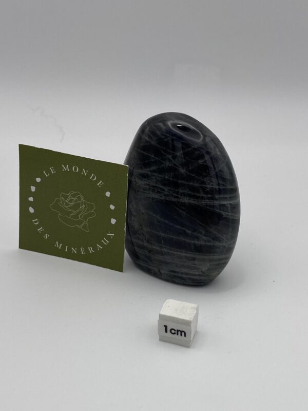 LABRADORITE VIOLETTE FORME LIBRE 127