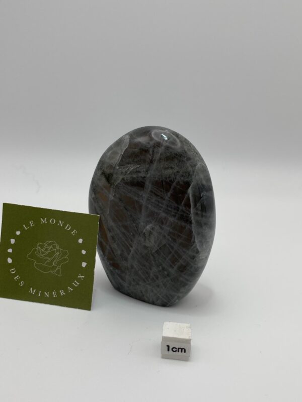 LABRADORITE VIOLETTE FORME LIBRE 211