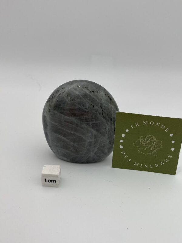 LABRADORITE VIOLETTE FORME LIBRE 162