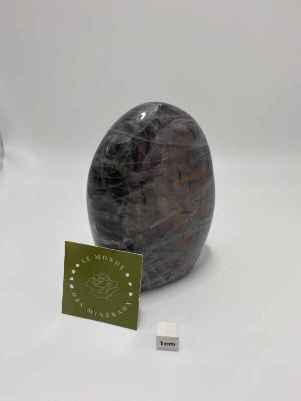 LABRADORITE VIOLETTE FORME LIBRE 635