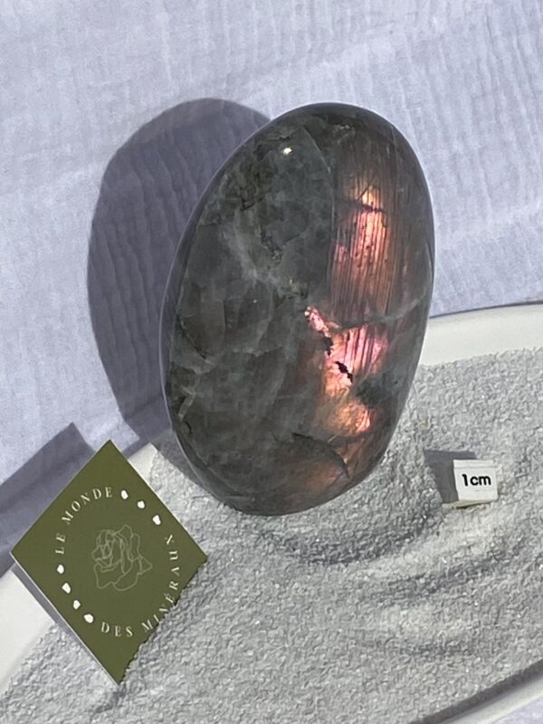 LABRADORITE VIOLETTE FORME LIBRE 435