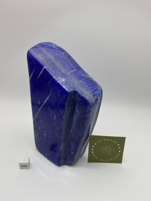 LAPIS LAZULI FORME LIBRE 1070