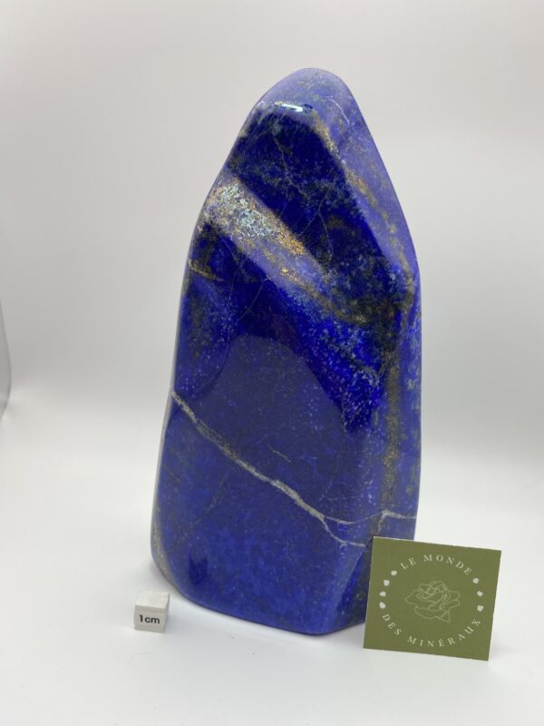 LAPIS LAZULI FORME LIBRE1553