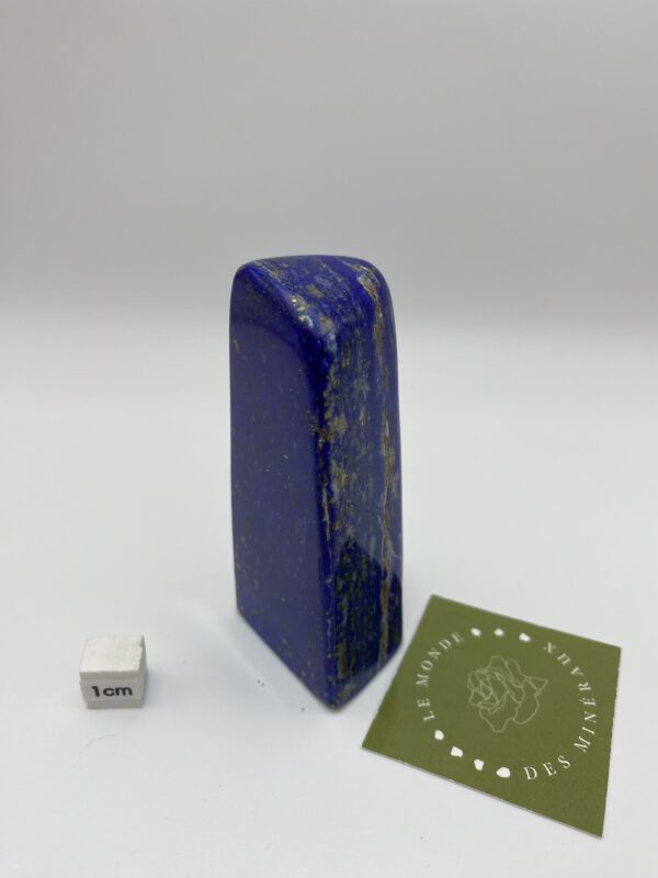 LAPIS LAZULI FORME LIBRE 172