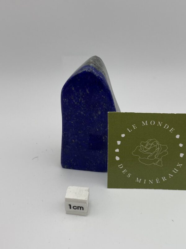 LAPIS LAZULI FORME LIBRE 138