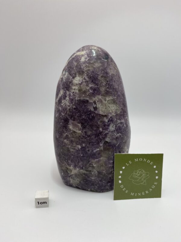 LEPIDOLITE FORME LIBRE 751