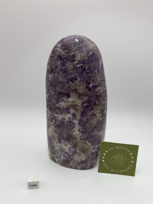 LEPIDOLITE FORME LIBRE 943