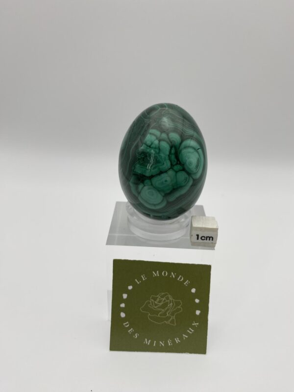 MALACHITE ŒUF 178