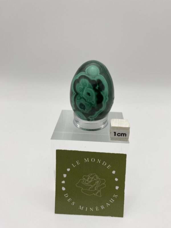 MALACHITE ŒUF 80
