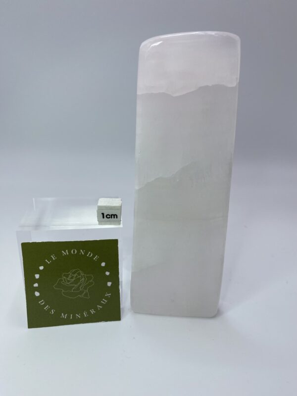 MANGANO CALCITE FORME LIBRE 280