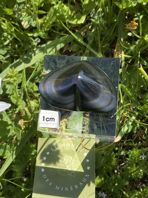 OBSIDIENNE ŒIL CELESTE CŒUR 5