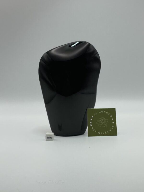 OBSIDIENNE ŒIL CELESTE FL 788