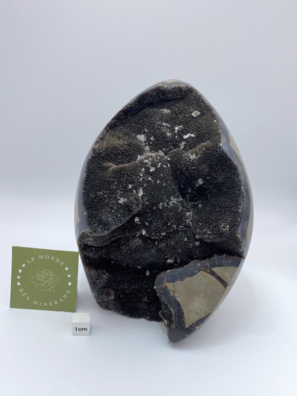 SEPTARIA FORME LIBRE 2047