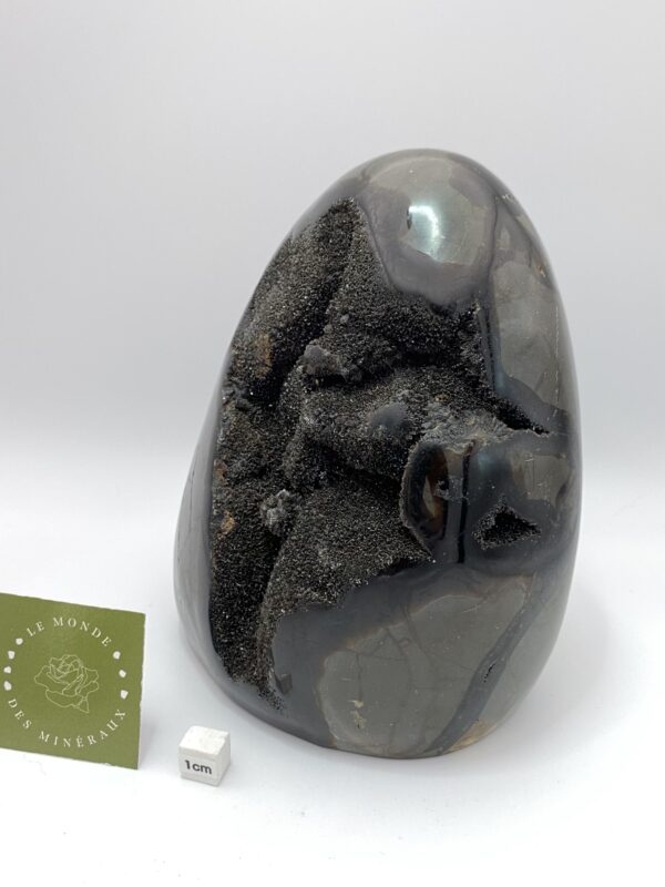 SEPTARIA FORME LIBRE 2968