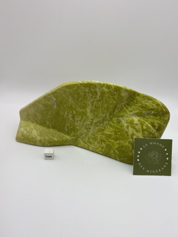 SERPENTINE FORME LIBRE 1125