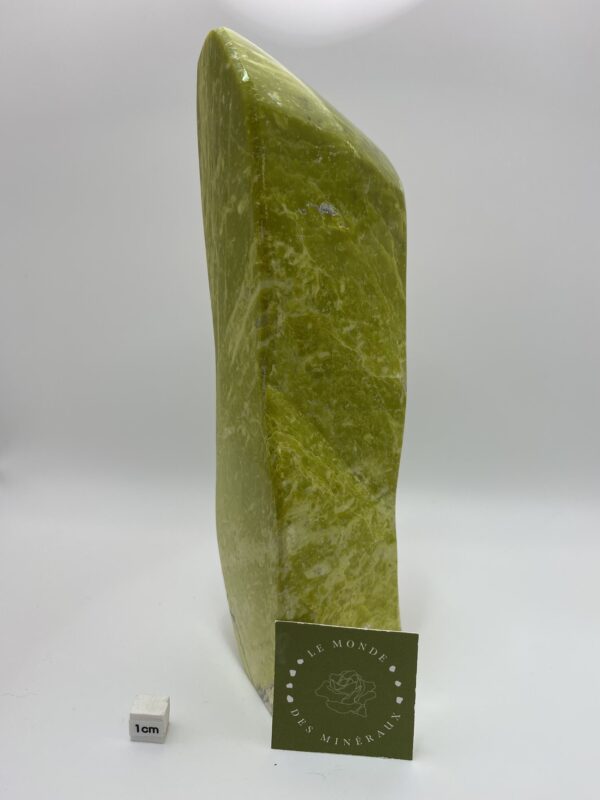 SERPENTINE FORME LIBRE 1326