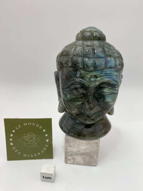 LABRADORITE TETE DE BOUDDHA 358