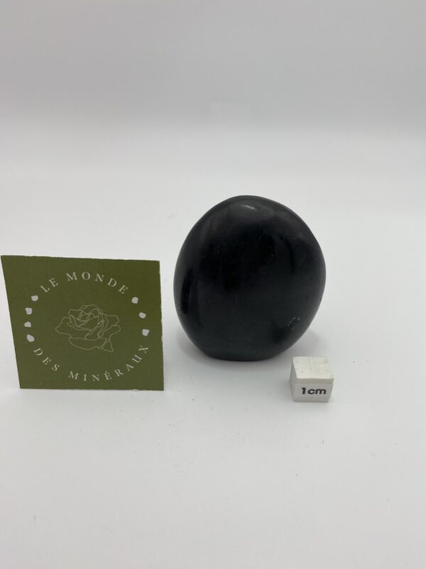 TOURMALINE NOIRE FORME LIBRE 117