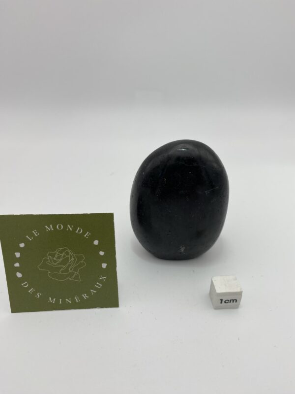 TOURMALINE NOIRE FORME LIBRE 157