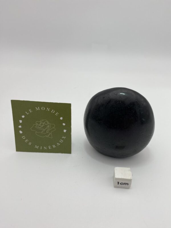 TOURMALINE NOIRE FORME LIBRE 172