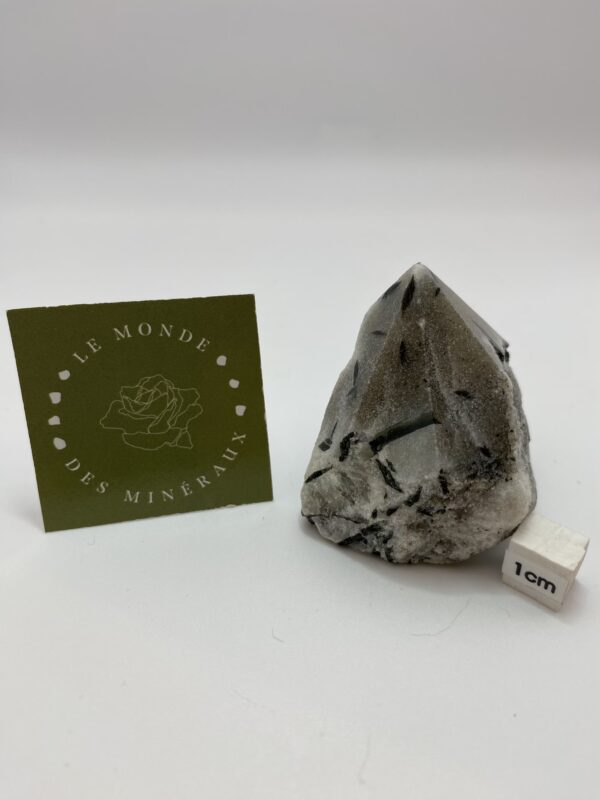 TOURMALINE POINTE BRUTE 130