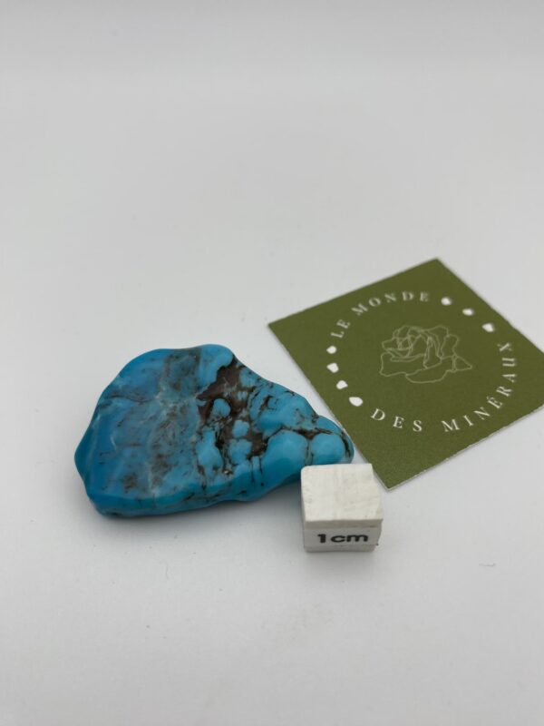 TURQUOISE PLAQUE4X3X1CM